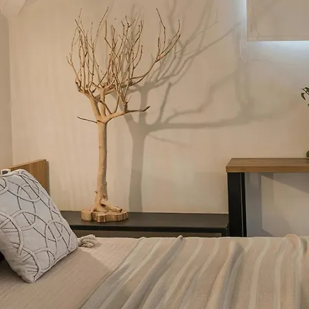 Wonderful Kefalonia Lenalee 2 Bedrooms Seafront Spectacular Sea Views Spacious Sun Terrace Private Outdoor Pool Assos * אסוס